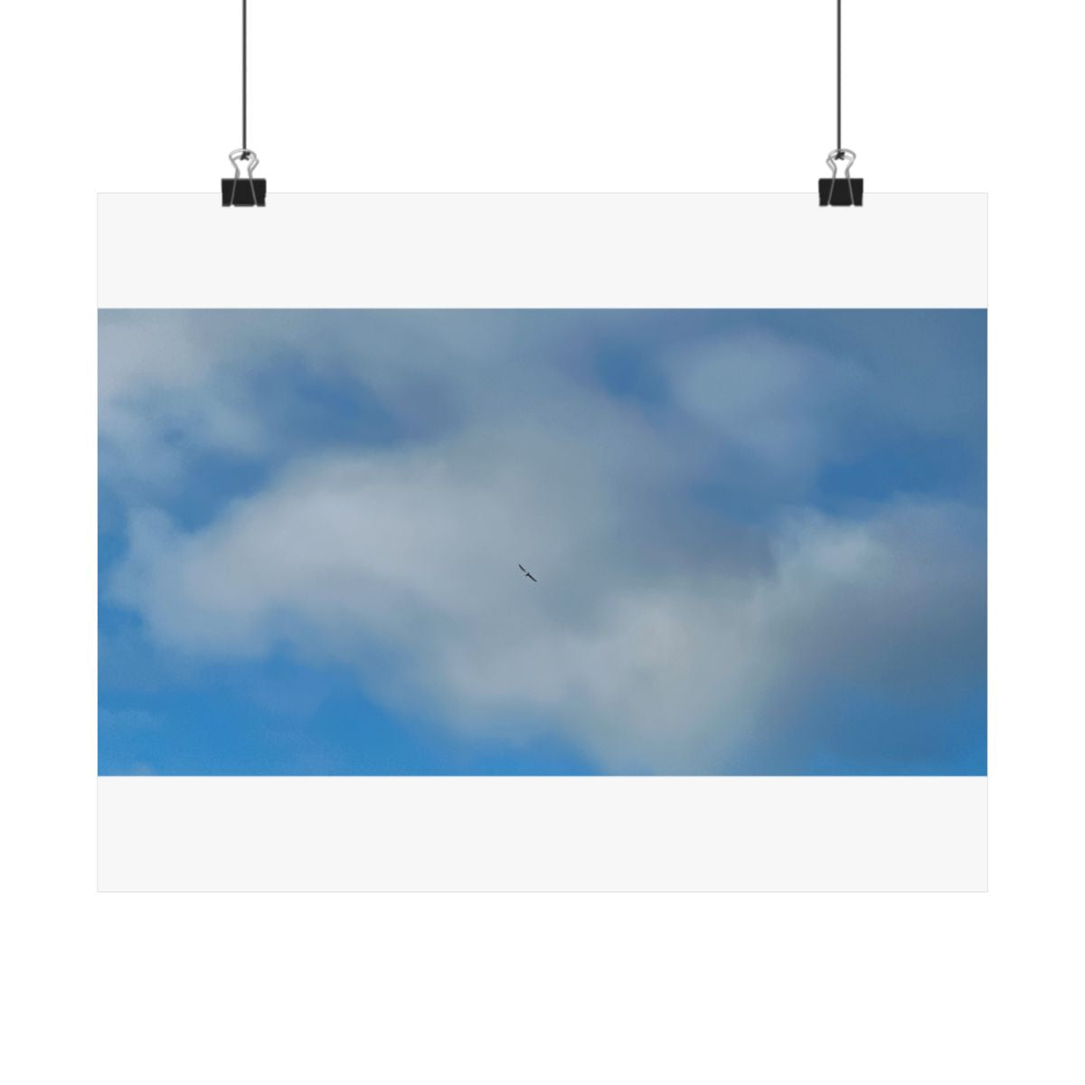 Print of a photograph of a single bird in flight against a bank of white cloud and blue sky, shown hanging from binder clips.