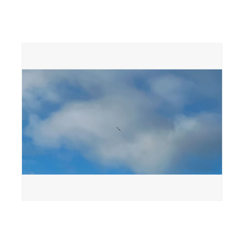 Print of a photograph of a single bird in flight against a bank of white cloud and blue sky.