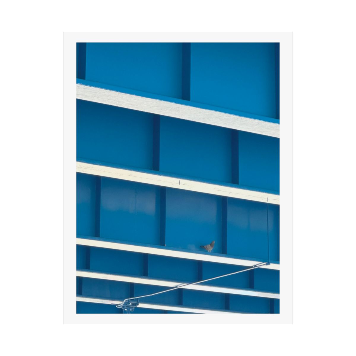 Print of a photograph of a blue building facade with pale ledges and a single pigeon.