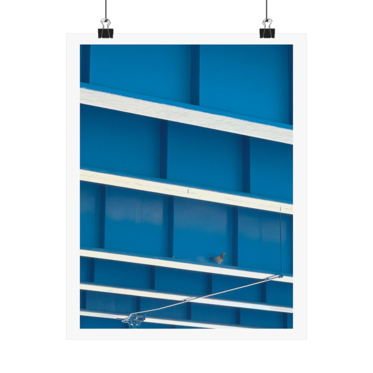 Print of a photograph of a blue building facade with pale ledges and a single pigeon, shown hanging from binder clips.