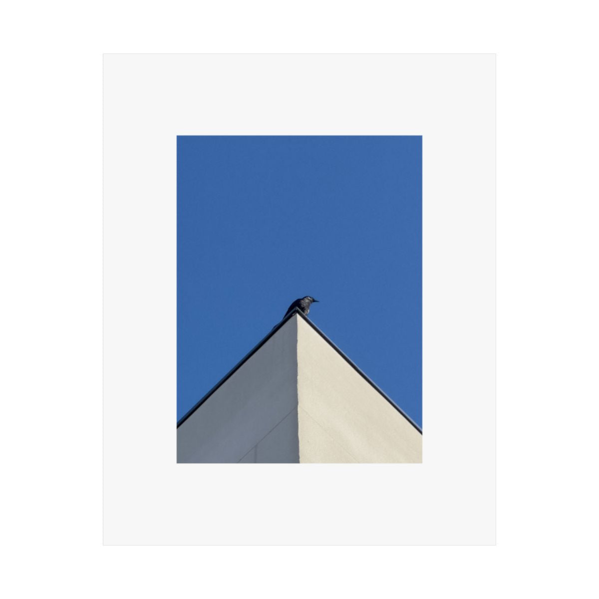 Print of a photograph of a small bird on the corner of a white building against blue sky.