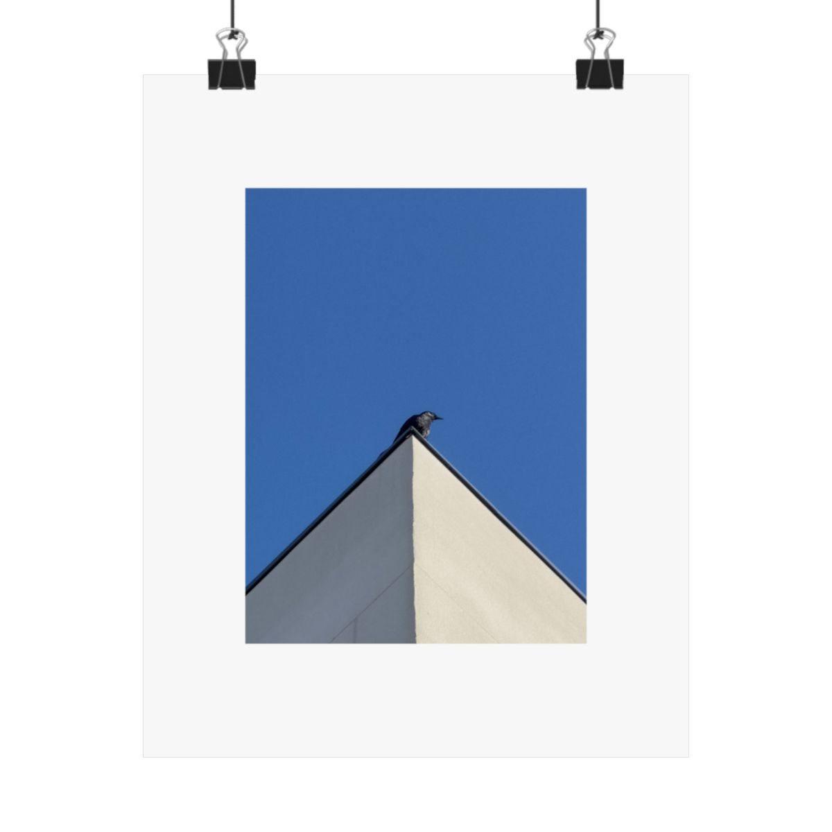 Print of a photograph of a small bird on the corner of a white building against blue sky, shown hanging from binder clips.