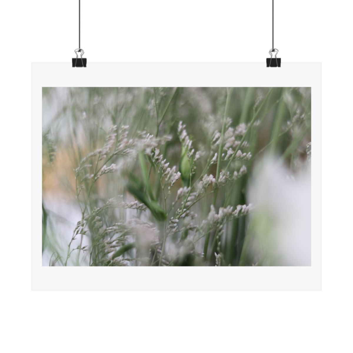 Print of a photograph of white lisianthus and fine grasses in soft light, shown hanging from binder clips.