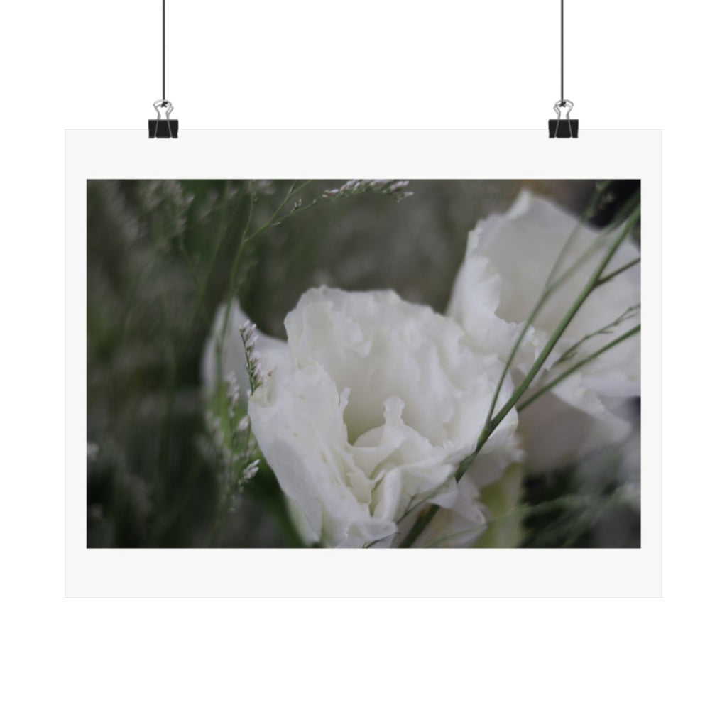 Print of a photograph of a white lisianthus bloom close up against green, shown hanging from binder clips.
