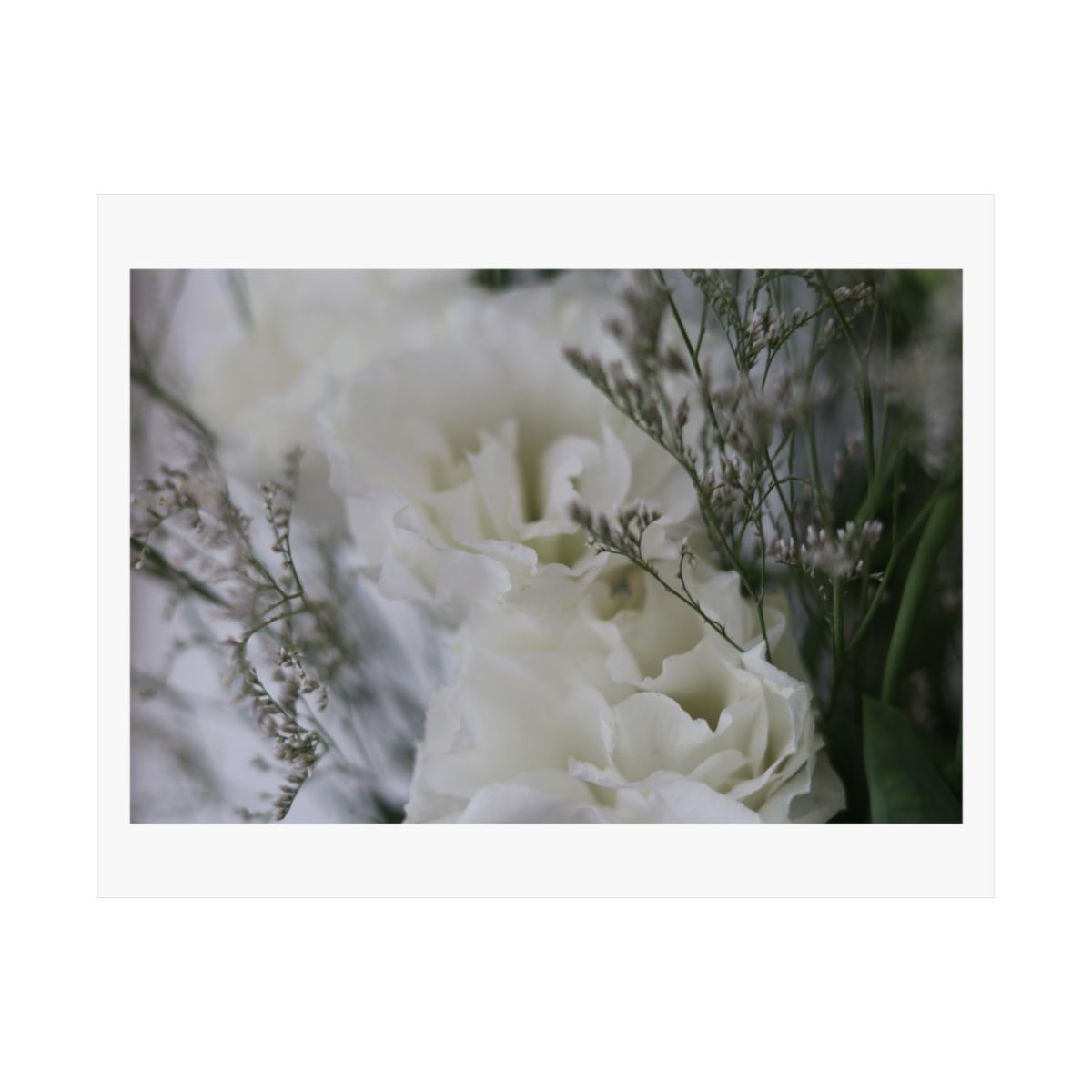 Print of a photograph of white lisianthus among tall seed heads and grasses.