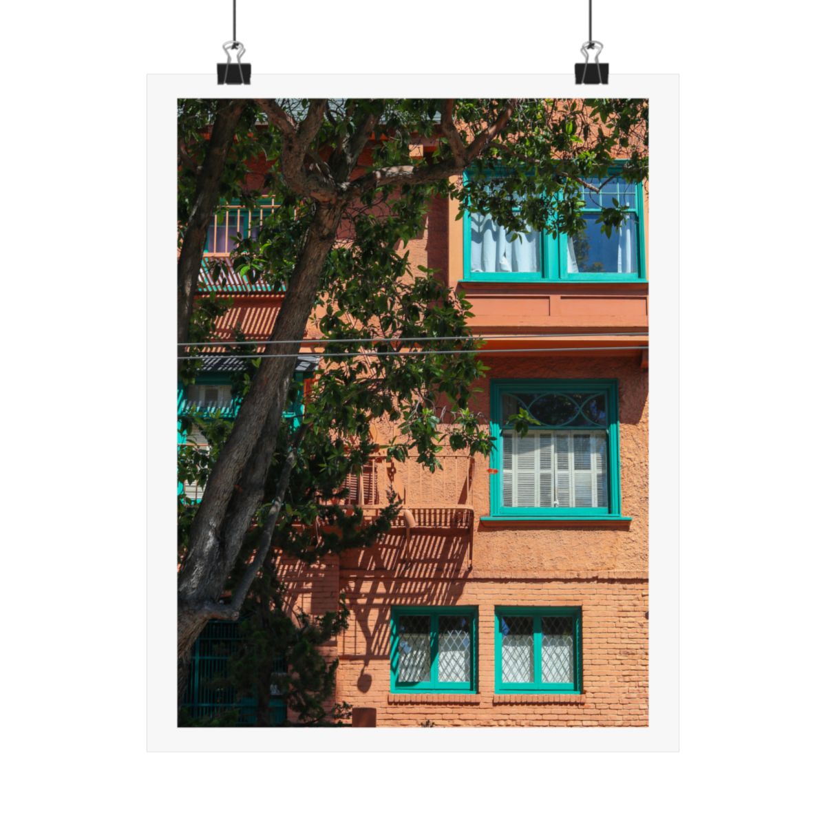 Print of a photograph of an orange building facade with teal window frames behind a tree, shown hanging from binder clips.
