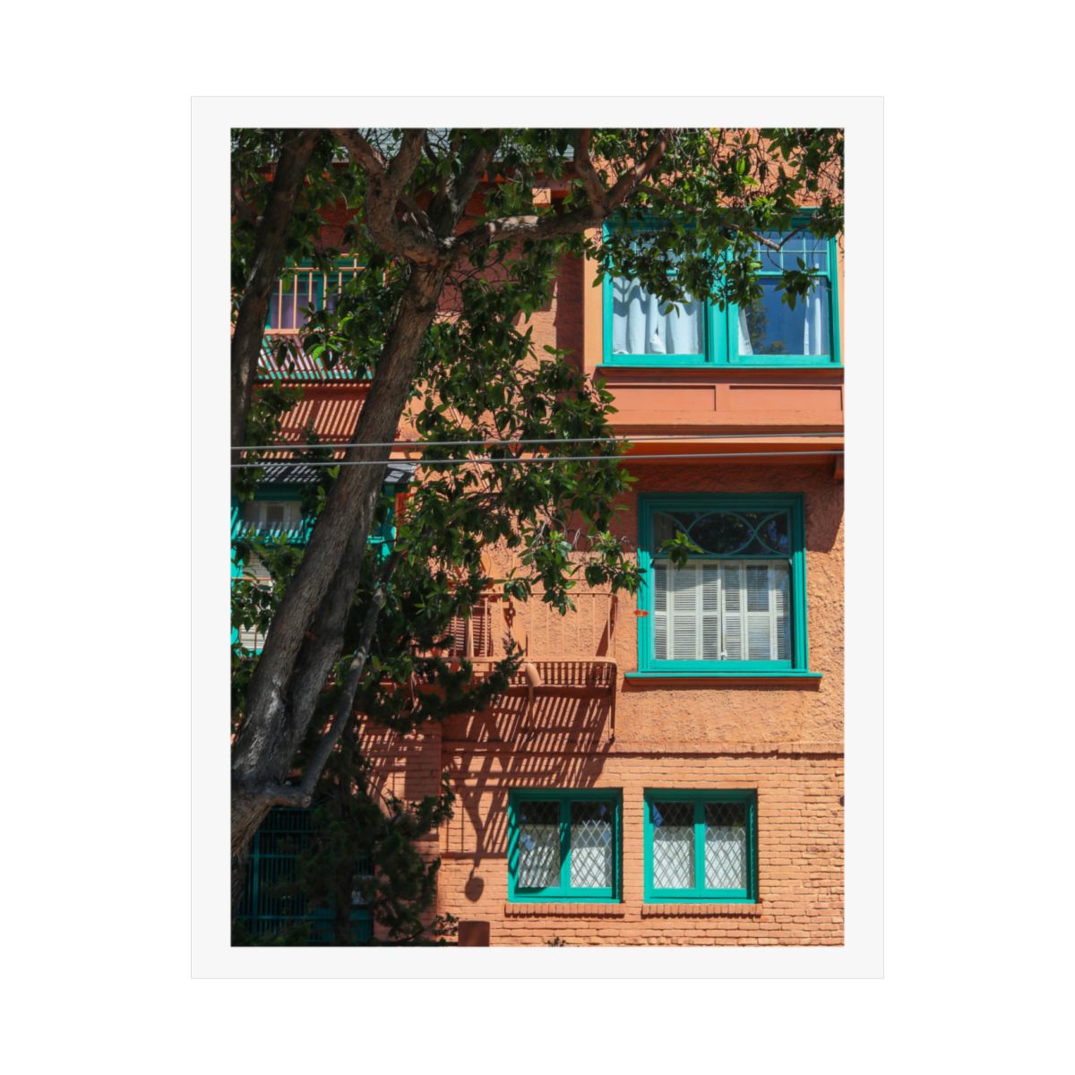 Print of a photograph of an orange building facade with teal window frames behind a tree.
