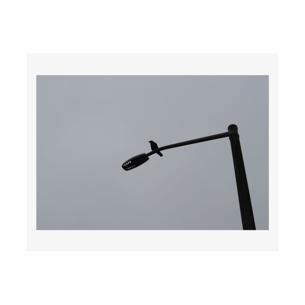 Print of a photograph of a black angled lamp arm against a plain grey ground.