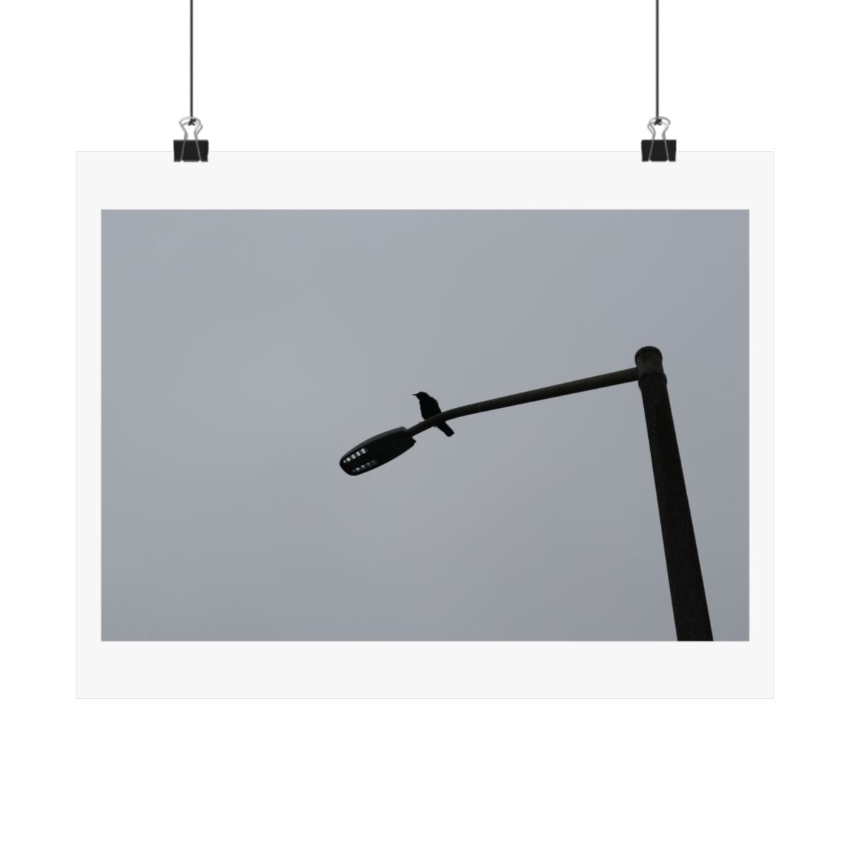 Print of a photograph of a black angled lamp arm against a plain grey ground, shown hanging from binder clips.
